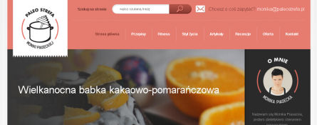 Zrzut ekranu strony paleostrefa.pl