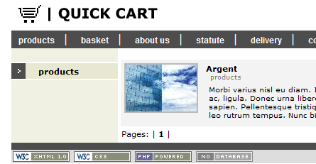 Zrzut ekranu pierwszej wersji Quick.Cart