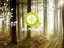 Screenshot of espolako.pl