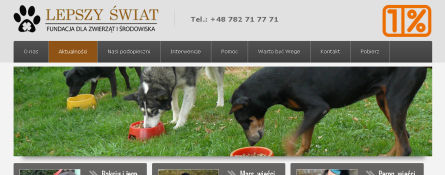 Zrzut ekranu strony fundacjalepszyswiat.pl