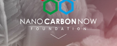Zrzut ekranu strony nanocarbonnow.org