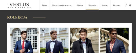 Screenshot of vestus.pl